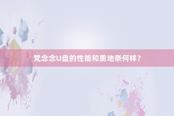 梵念念U盘的性能和质地奈何样？